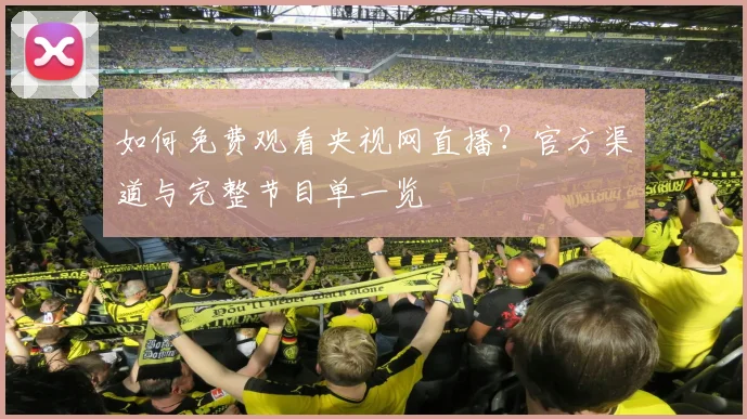 如何免费观看央视网直播？官方渠道与完整节目单一览