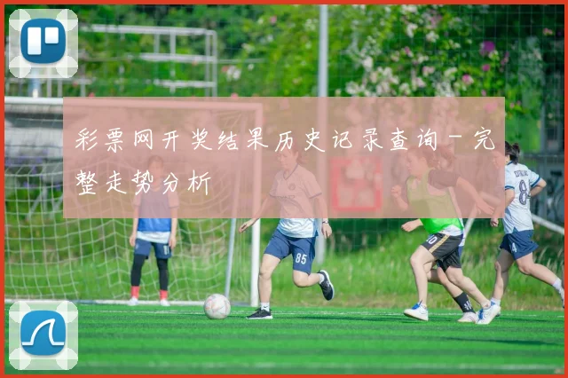 彩票网开奖结果历史记录查询 - 完整走势分析