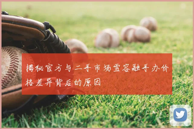 揭秘官方与二手市场雪容融手办价格差异背后的原因