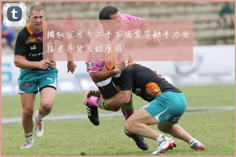 揭秘官方与二手市场雪容融手办价格差异背后的原因